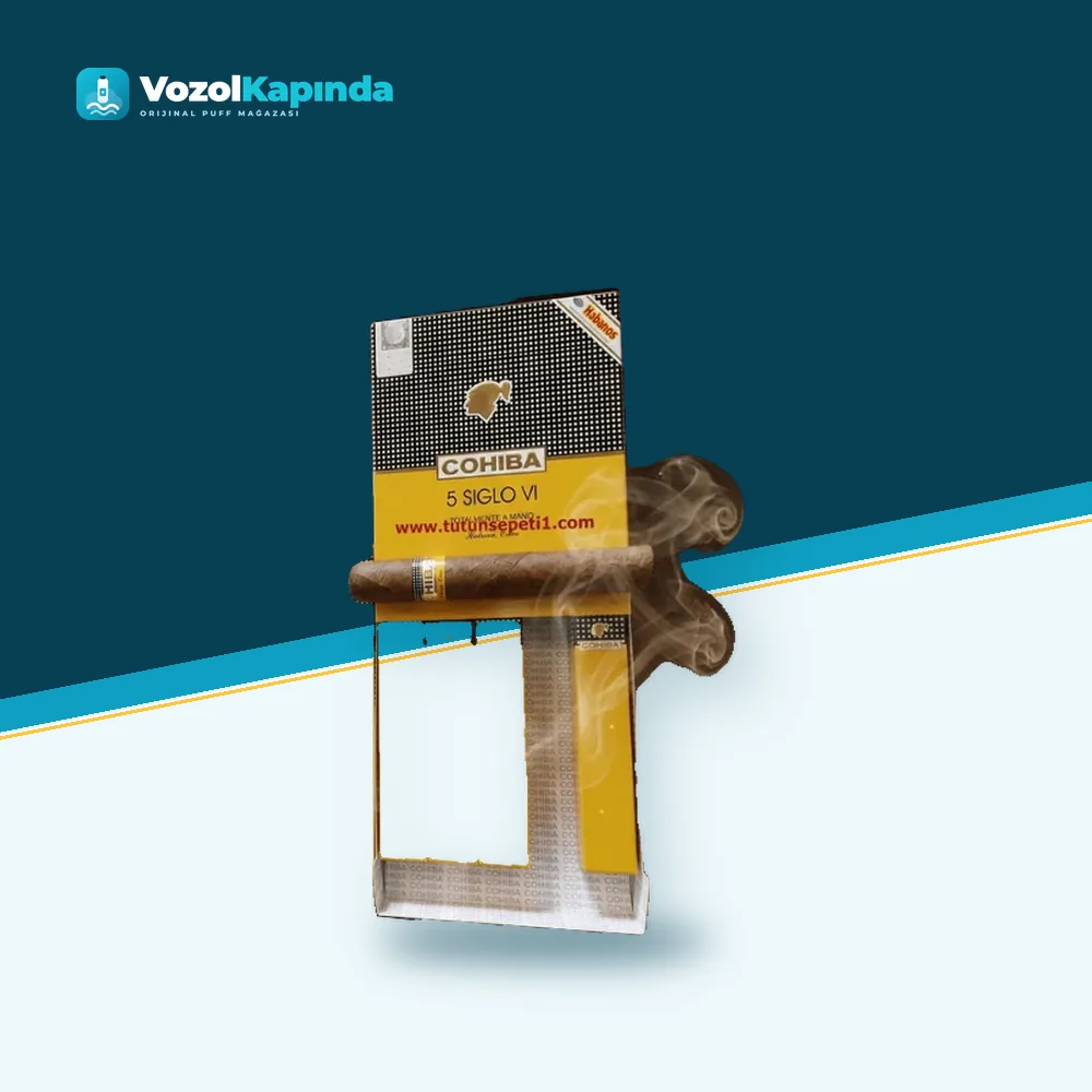 Cohiba Aniversario 5 Siglo 5’s Gift Pack DOMİNİC paket görünümü