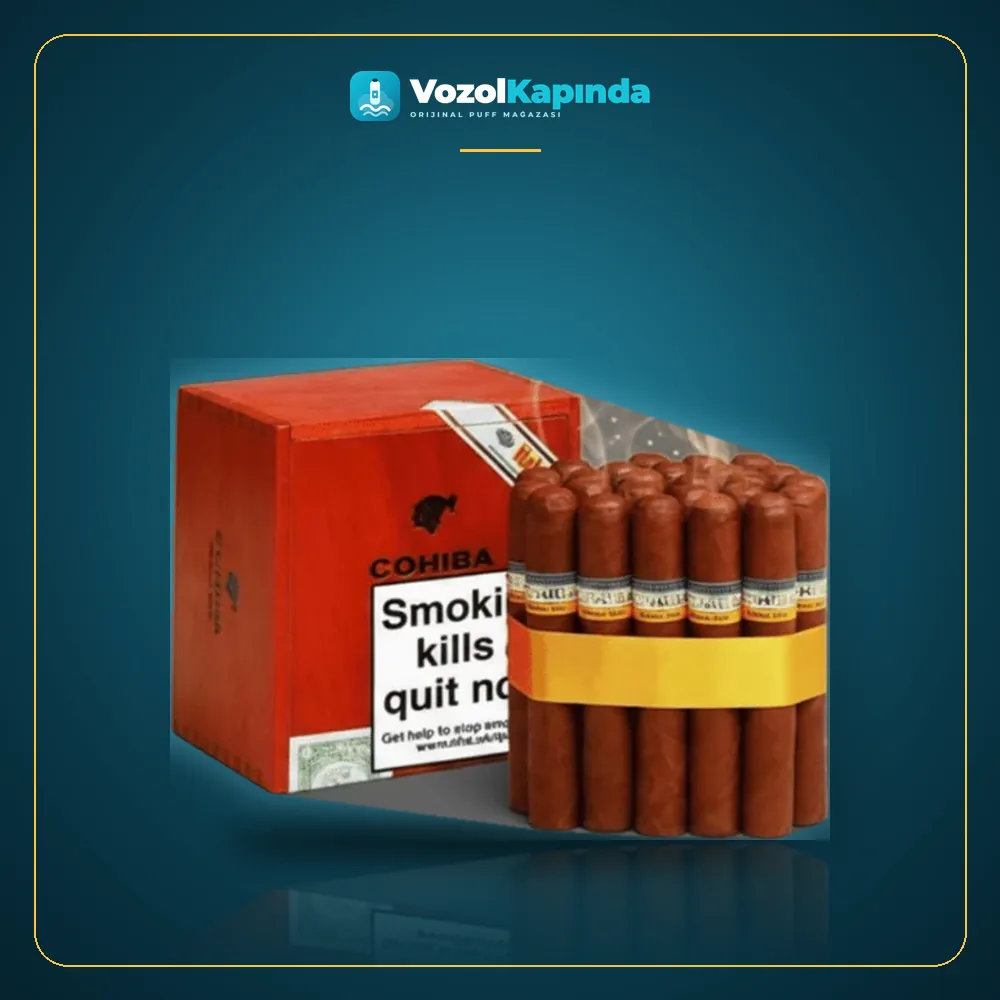 Cohiba Robustos Puro 25’li Ahşap Kutu DOMİNİC Orijinal Ambalaj Cohiba Robustos Puro 25’li Ahşap Kutu DOMİNİC paket görünümü