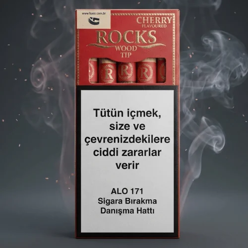 Rocks Wood Tip Puro – Kiraz Aromalı