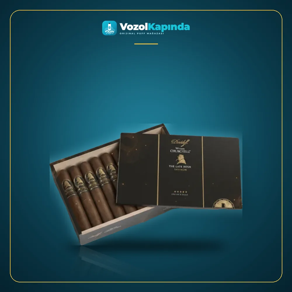 Davidoff Winston Churchill Late Hour Robusto 20’s paket görünümü