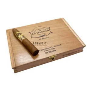 San Cristobal La Prado Puro – 10’s Ahşap Kutu