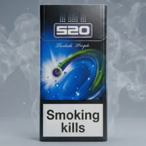 520 Kalpli Sigara 2 Ways Purple – Mentol Böğürtlen