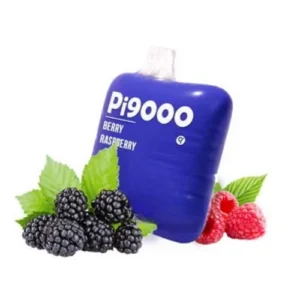 Elf Bar Pi9000 Berry Raspberry Puff