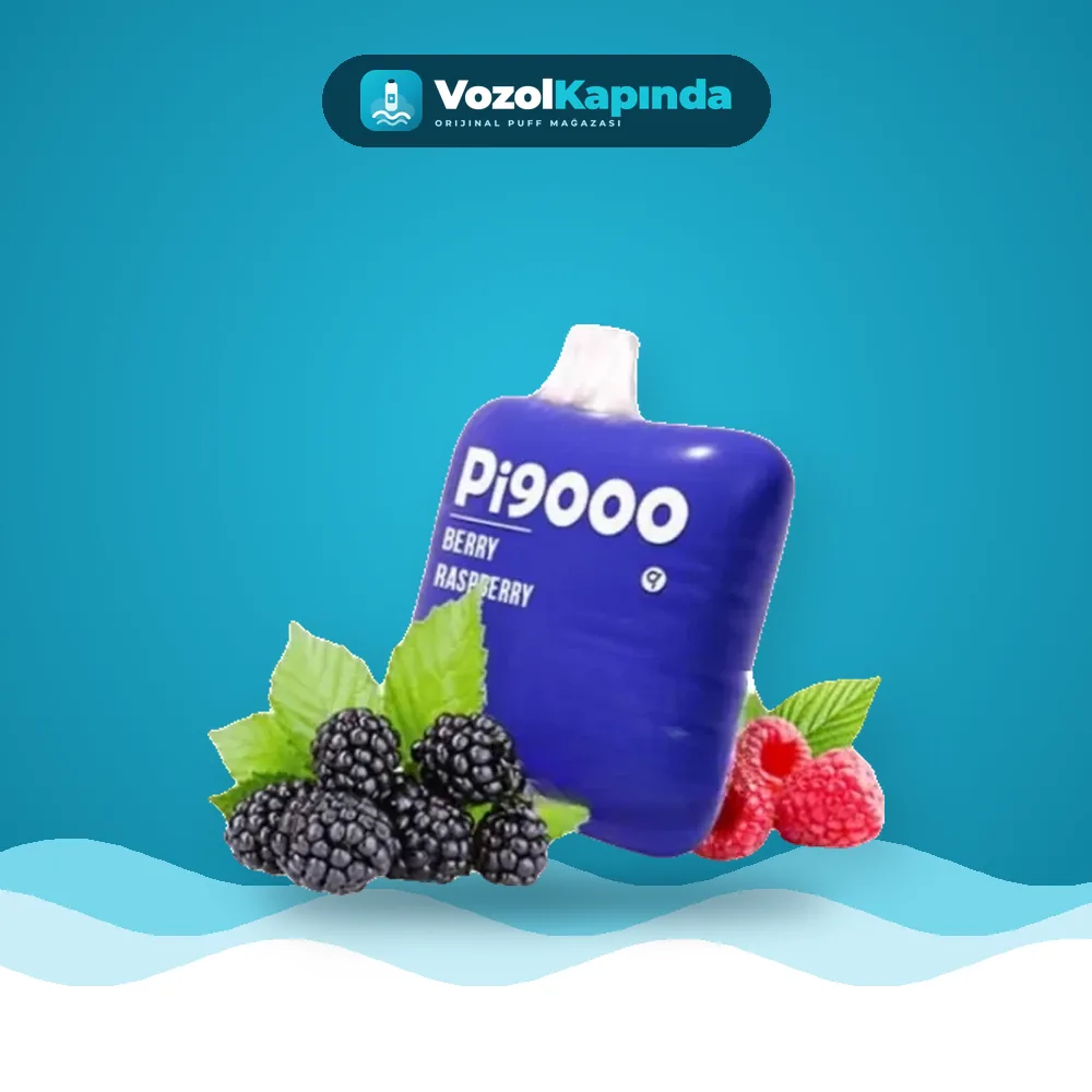 Elf Bar Pi9000 Berry Raspberry Puff Satın Al Elf Bar Pi9000 Berry Raspberry Puff fiyatı ve siparişi, Vozol Kapında