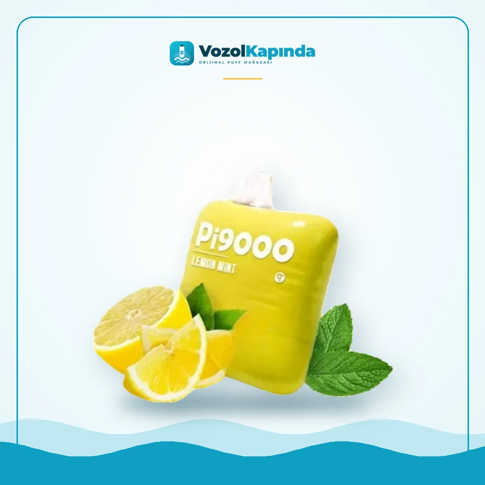 Elf Bar Pi9000 Lemon Mint Puff Fiyatı Elf Bar Pi9000 Lemon Mint Puff fiyatı ve siparişi, Vozol Kapında