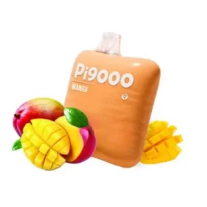 Elf Bar Pi9000 Mango Puff
