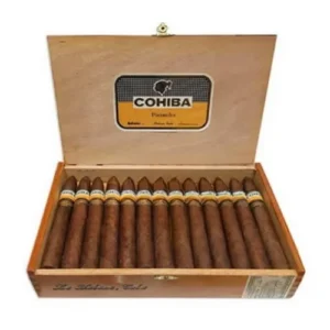 Cohiba Piramides Puro – 25’s Ahşap Kutu DOMİNİC