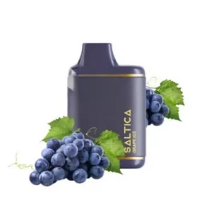 Saltica 7000 Grape Ice Puff – Leather Series