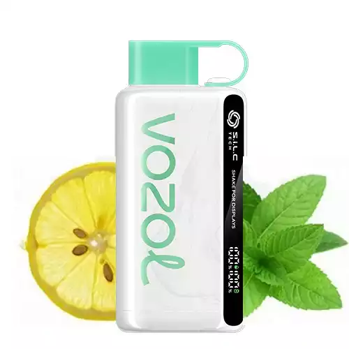 Vozol Star 12000 Puff Lemon Mint