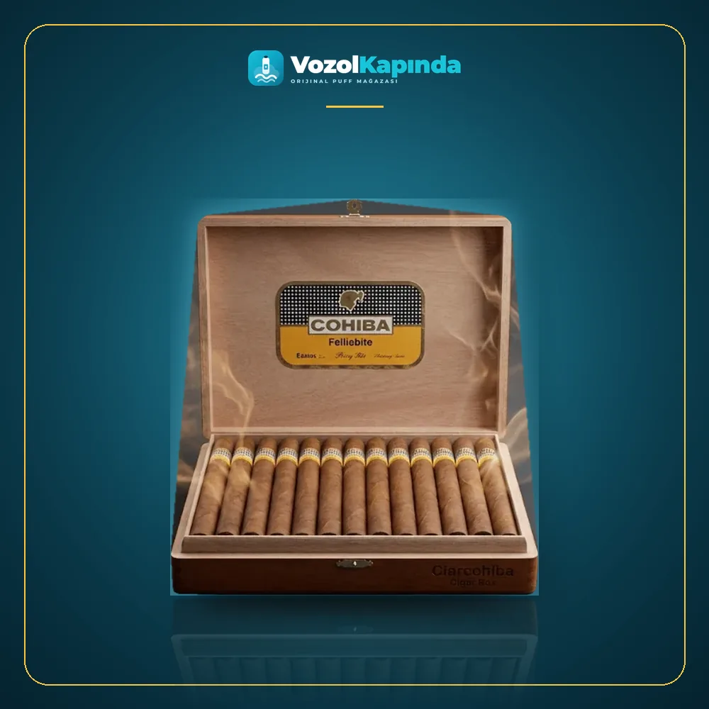 Cohiba Esplendidos 25’s Puro FREESHOP Paket Görünümü Cohiba Esplendidos 25’s Puro FREESHOP ürün görseli, orijinal Küba purosu