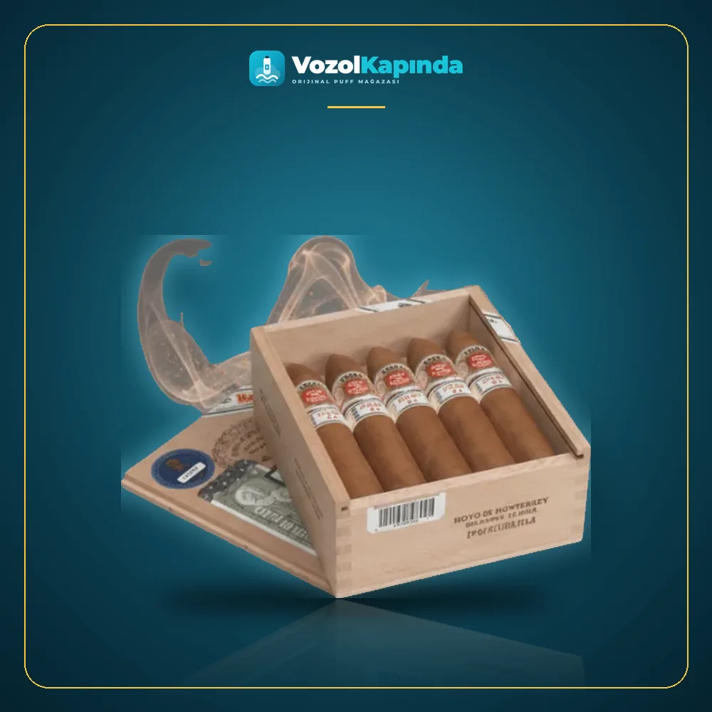 Hoyo de Monterrey Epicure No.3 Puro 10’s FREESHOP Ürün Görseli Hoyo de Monterrey Epicure No.3 Puro 10’s FREESHOP ürün görseli, orijinal puro