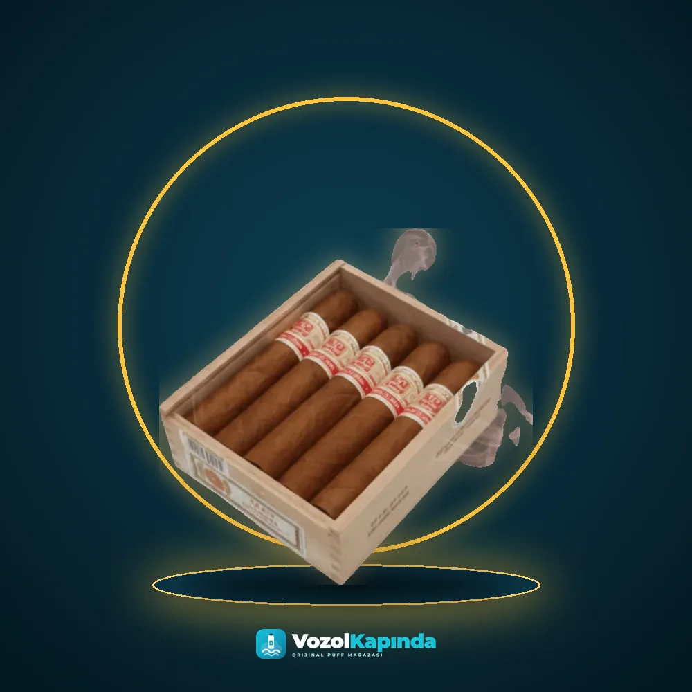 Hoyo de Monterrey Le Hoyo de Río Seco Tobo Puro 10’s FREESHOP, Vozol Kapında orijinal puro