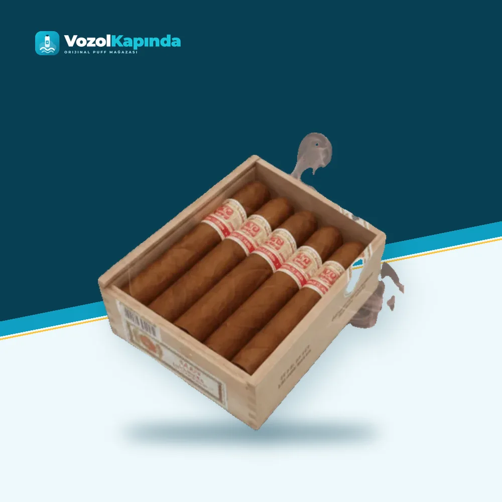 Hoyo de Monterrey Le Hoyo de Río Seco Tobo Puro 10’s FREESHOP paket görünümü