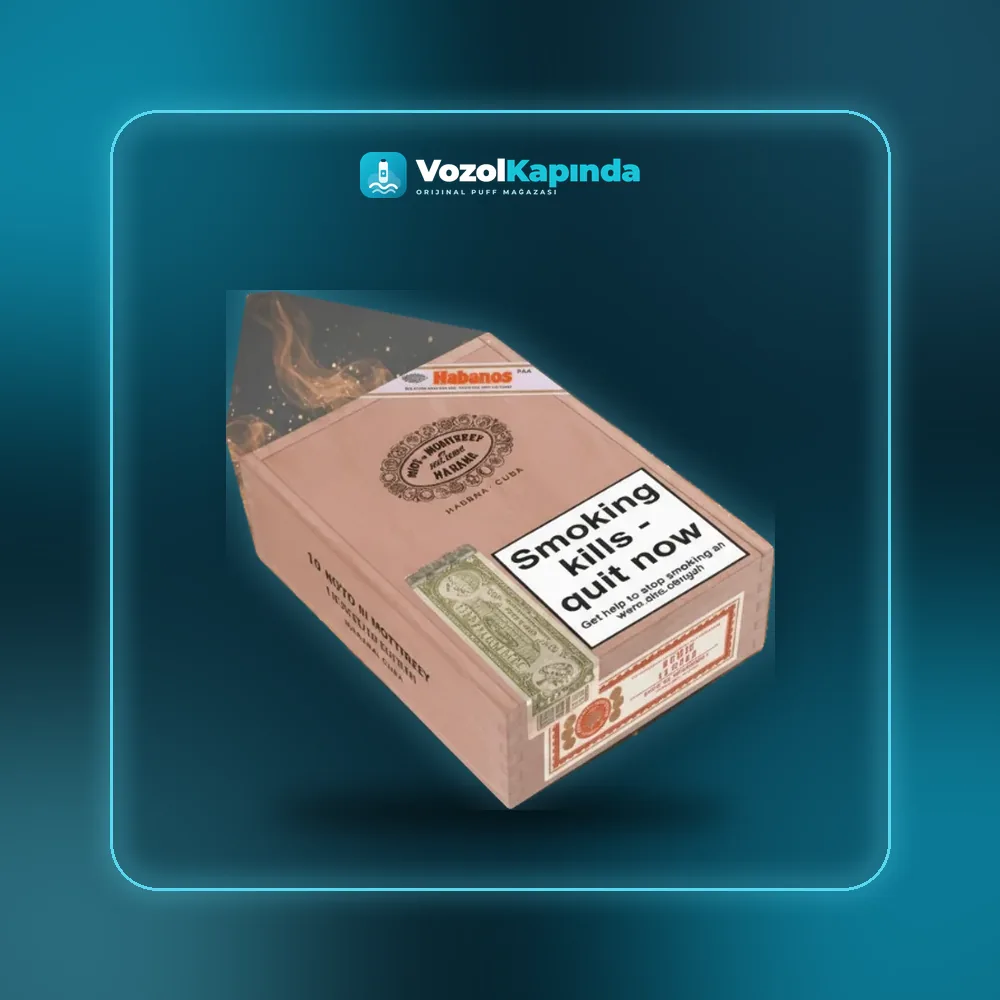 Hoyo de MonterreyLe Hoyo de San Juan Puro 10’s FREESHOP fiyatı ve siparişi, Vozol Kapında