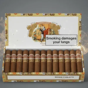 Romeo Y Julieta Petit Churchills Puro 25’s FREESHOP