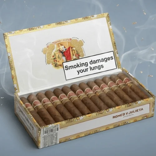 Romeo Y Julieta Wide Churchills Tubo Puro 10’s FREESHOP