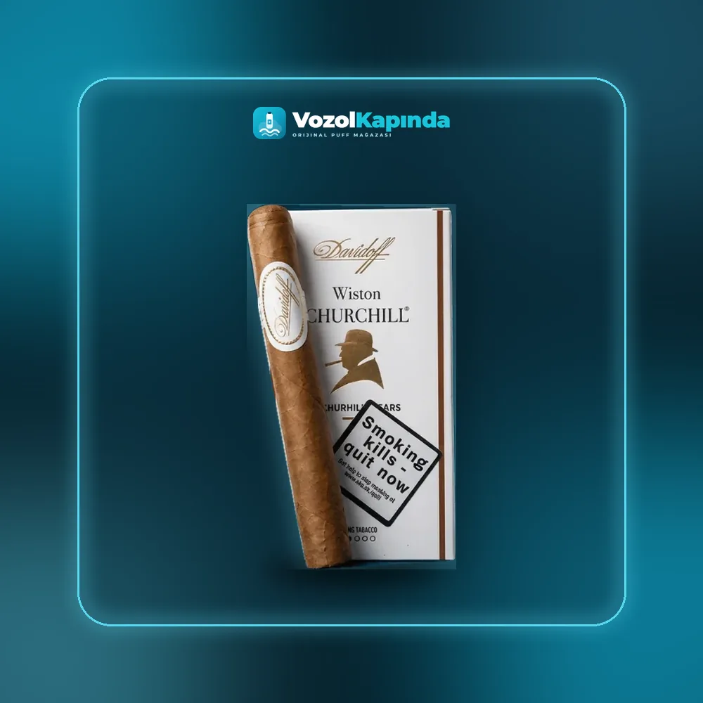 Davidoff Winston Churchill 4’S Fiyatı Davidoff Winston Churchill 4’S fiyatı ve siparişi, Vozol Kapında