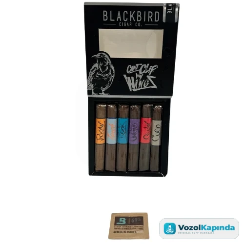 Blackbird Robusto Sampler 6's Puro - görsel 2