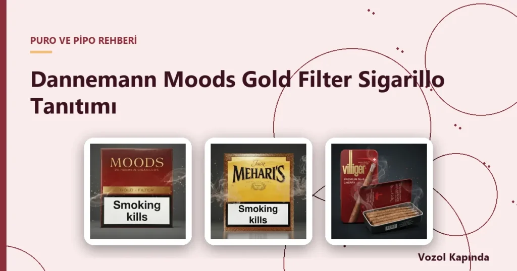 Dannemann Moods Gold Filter Sigarillo Tanıtımı - sigarillo nedir