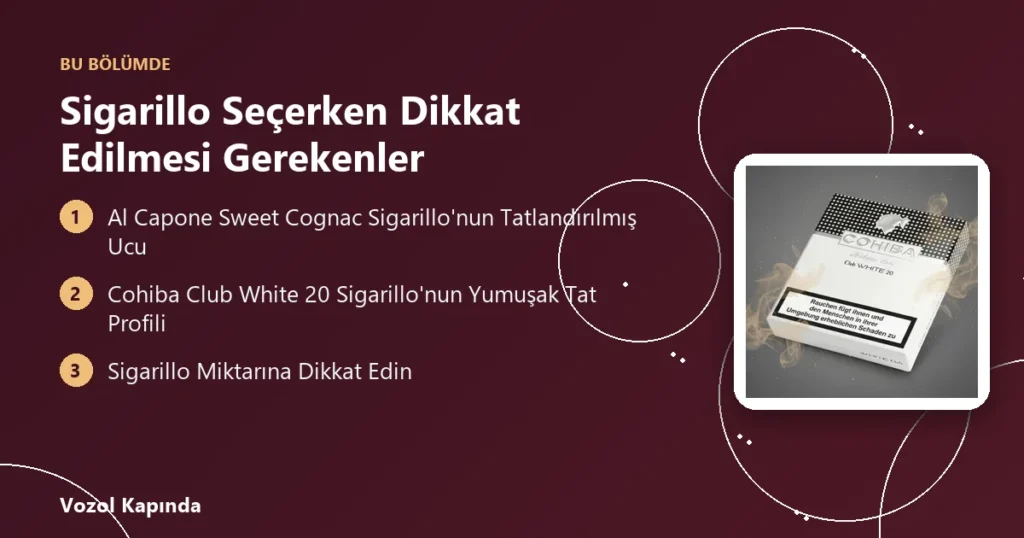 Sigarillo Seçerken Dikkat Edilmesi Gerekenler - sigarillo nedir