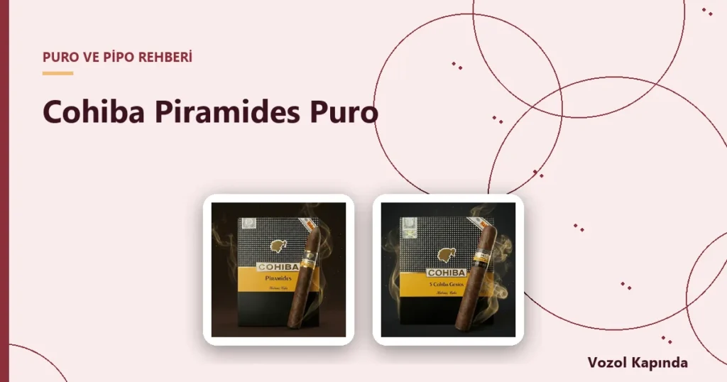 Cohiba Piramides Puro - cohiba puro