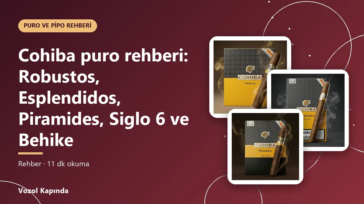 Cohiba puro rehberi: Robustos, Esplendidos, Piramides, Siglo 6 ve Behike