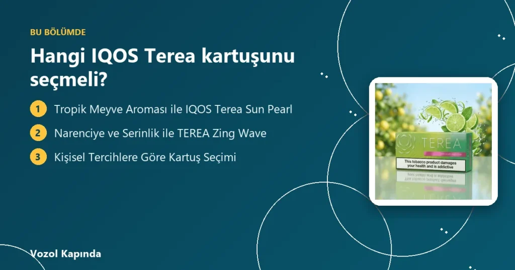Hangi IQOS Terea kartuşunu seçmeli? - iqos terea