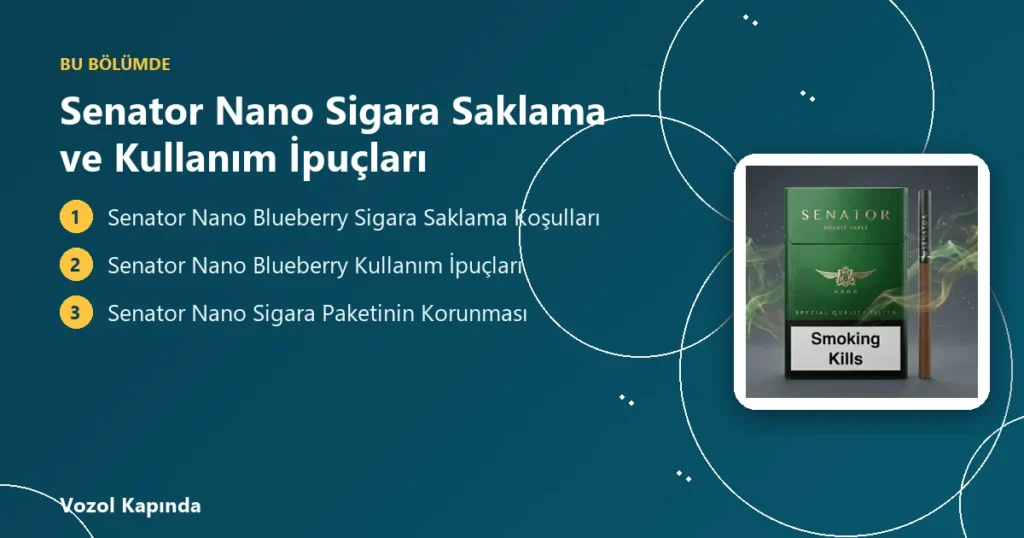 Senator Nano Sigara Saklama ve Kullanım İpuçları - senator sigara