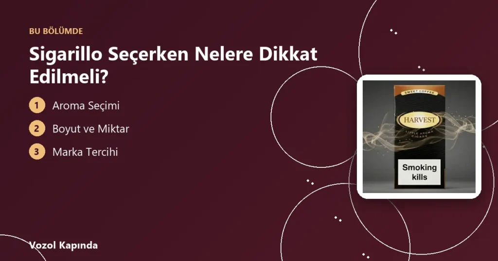 Sigarillo Seçerken Nelere Dikkat Edilmeli? - cohiba club
