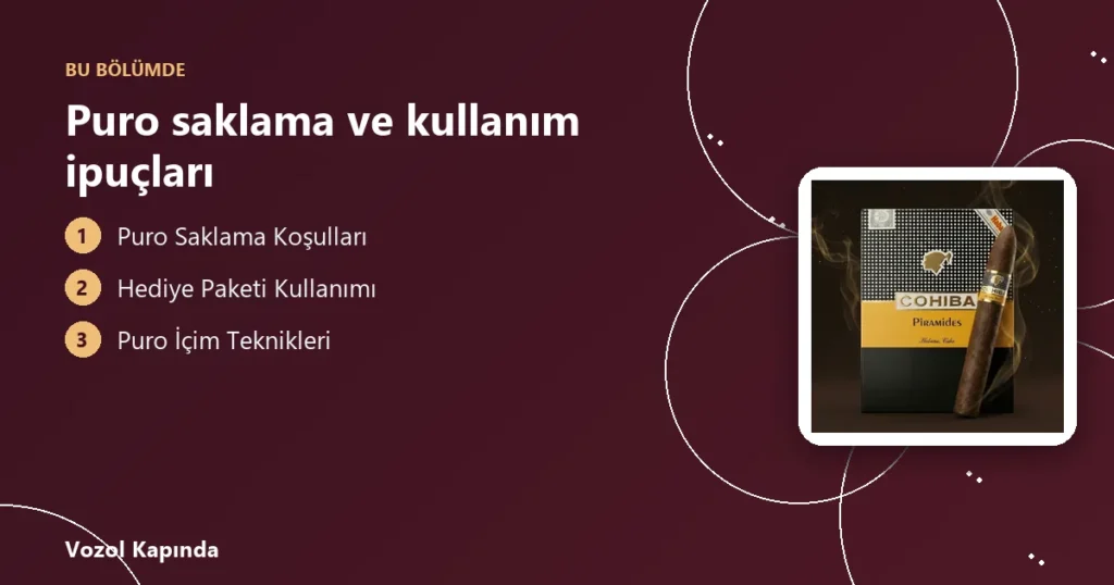 Puro saklama ve kullanım ipuçları - puro boyları