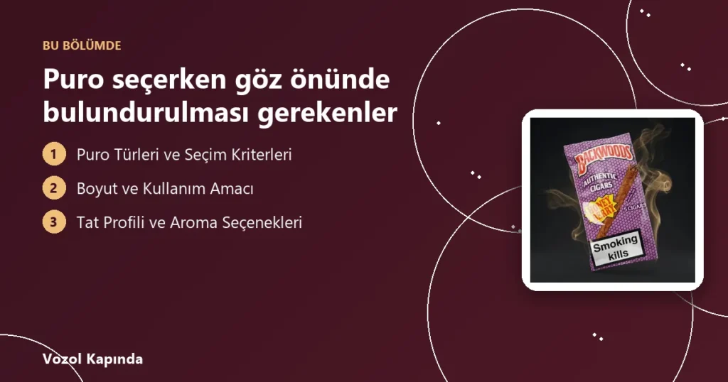 Puro seçerken göz önünde bulundurulması gerekenler - puro nasıl içilir