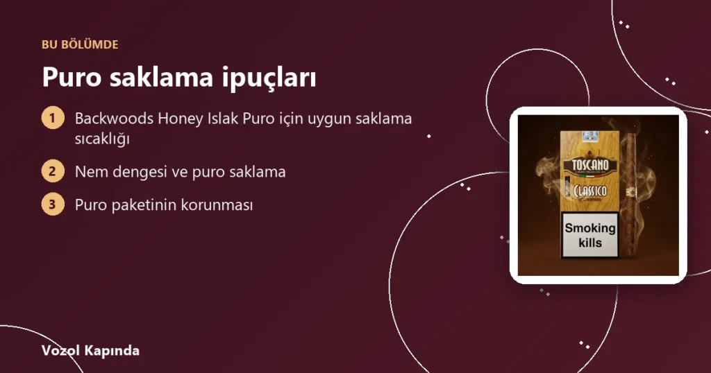 Puro saklama ipuçları - puro saklama