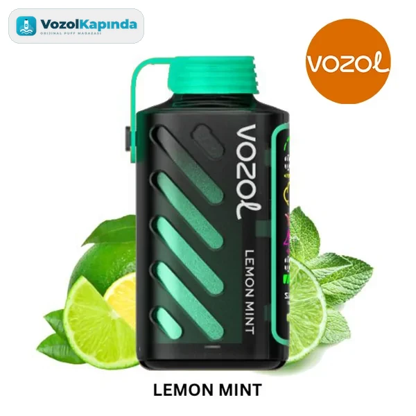 Vozol Gear Power 20000 Lemon Mint