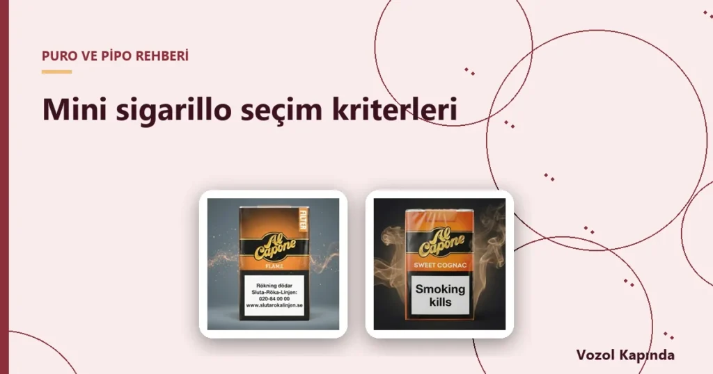 Mini sigarillo seçim kriterleri - mini sigarillo