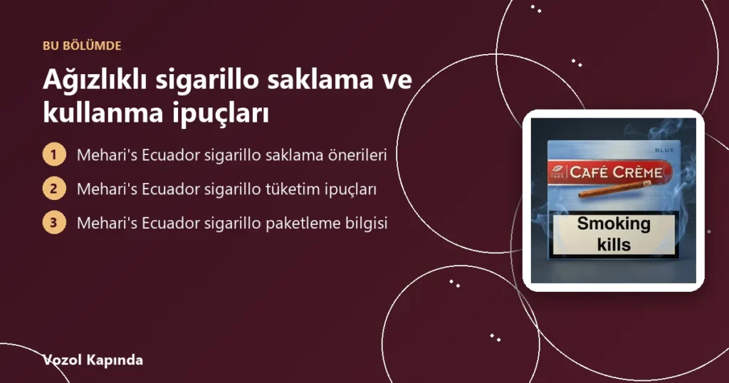 Ağızlıklı sigarillo saklama ve kullanma ipuçları - ağızlıklı sigarillo
